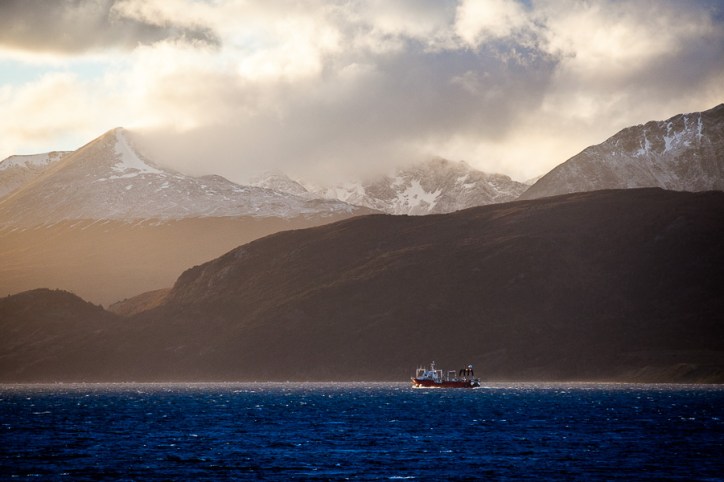 Croisière nature au Cap Horn