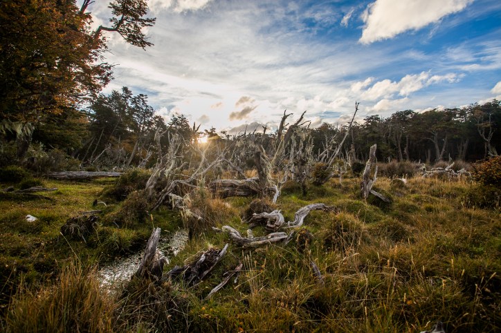 Excursions possibles depuis Venus