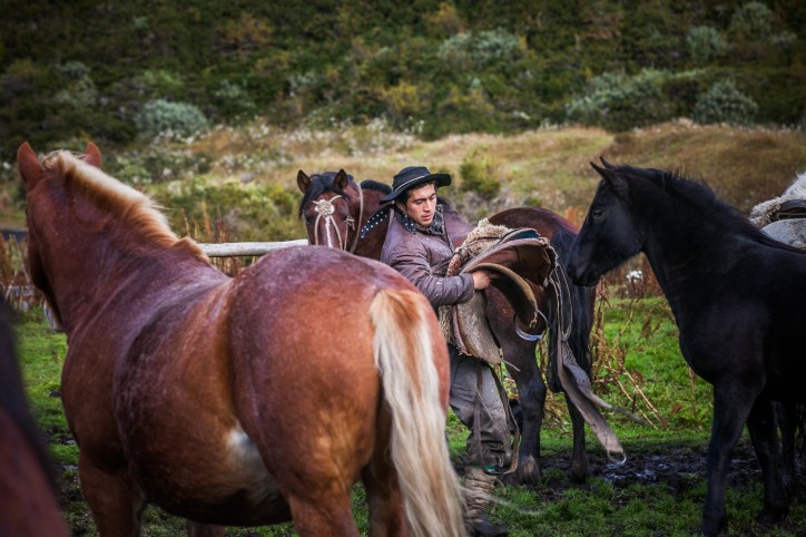 Excursions possibles depuis Venus