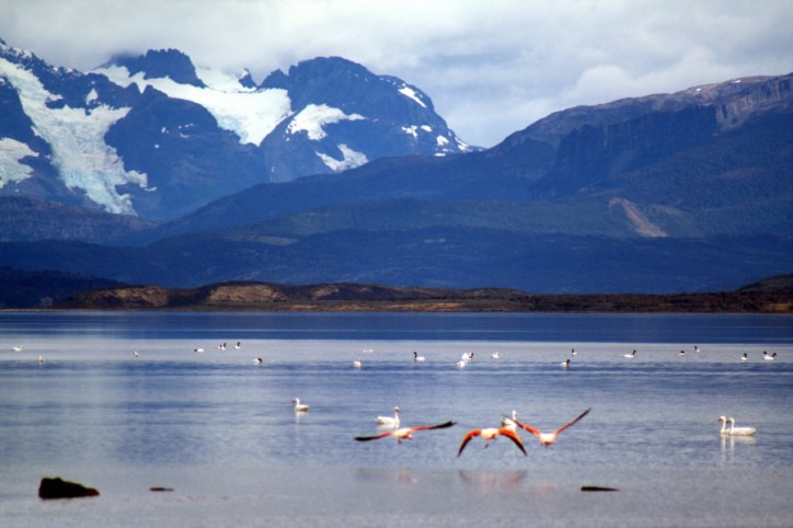 SailingChile à Puerto Natales