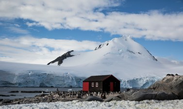 Port Locroy Antarctique