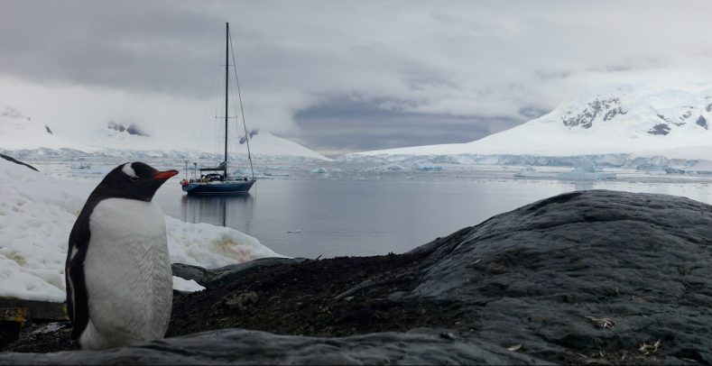 Venus en Antarctique